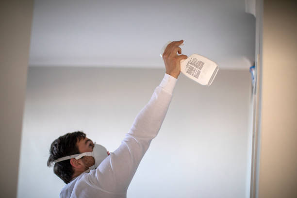 Best Residential Mold Removal  in Bonne Terre, MO