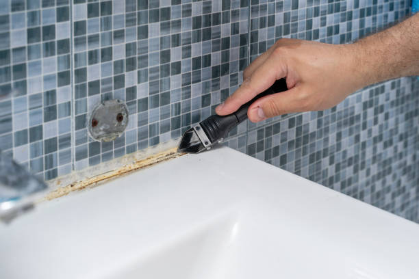 Best Mold Testing and Removal  in Bonne Terre, MO